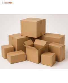 THÙNG GIẤY CARTON