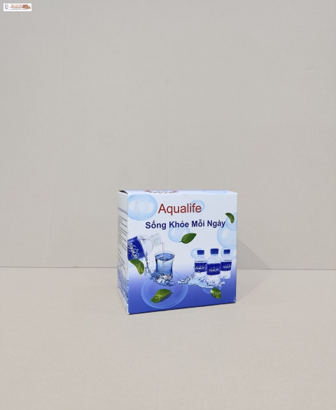 HCT0005 - Hộp giấy in offset đựng sản phẩm 